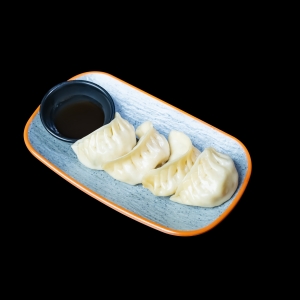124.GYOZA VEGETAL 5u